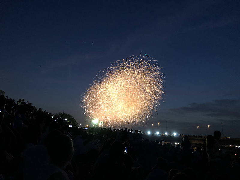夏の夜空を美しく彩る「足立の花火」の黄金のしだれ桜│おでかけ部