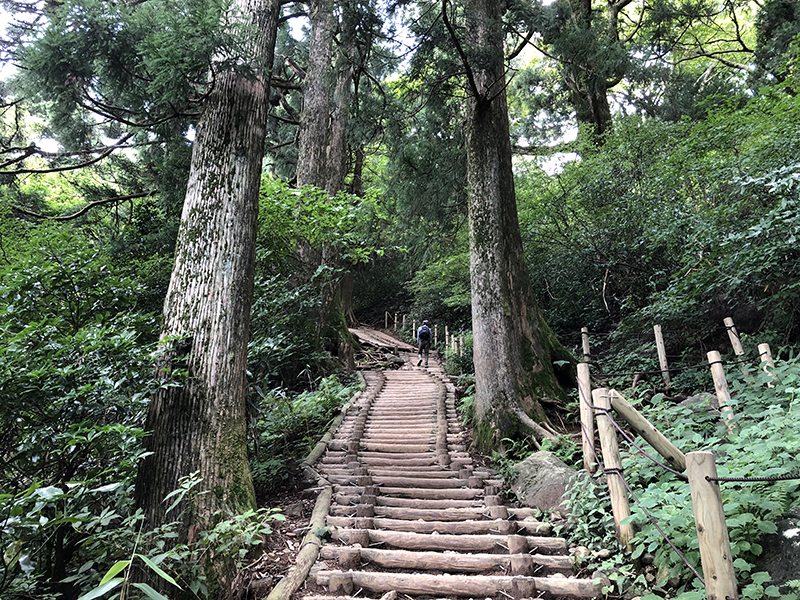 関東平野に優美な姿でそびえ立つ紫峰 筑波山 おでかけ部